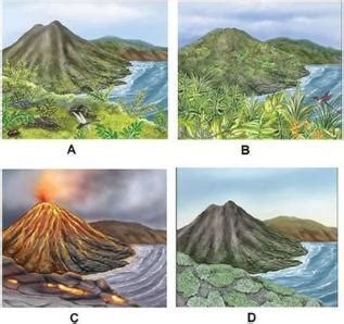 Primary Succession After Volcano Eruption