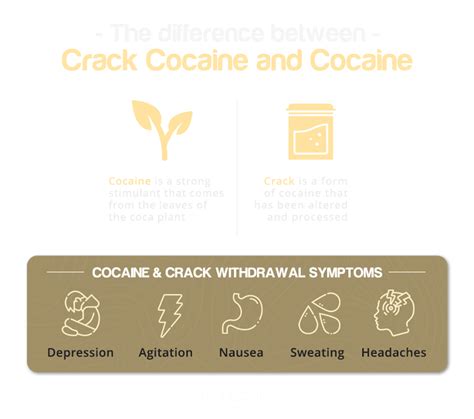 The Difference Between Crack and Cocaine - Westwind Recovery®