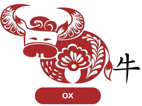 Ox Chinese Zodiac Signs | My Chinese Recipes