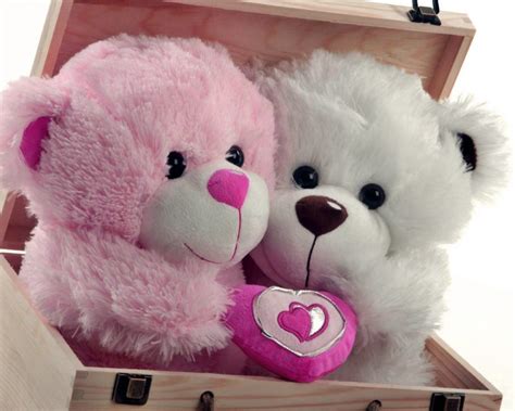 Happy Teddy Day Wishes Image 16 - Funnyexpo