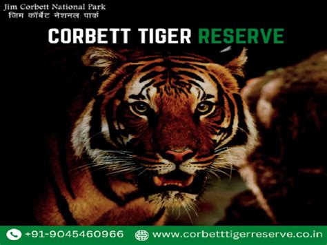 Corbett tiger reserve by Corbett tiger Reserve on Dribbble