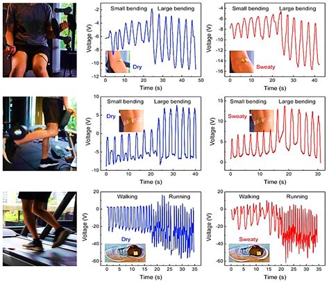 Sensors | Free Full-Text | Wearable Sensors and Smart Devices to Monitor Rehabilitation ...