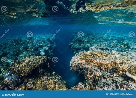 Underwater Rocks with Corals in Blue Ocean. Menjangan Island Stock ...