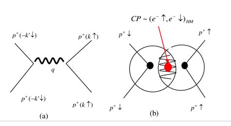 3(a): Attractive proton-proton interaction mediated by virtual "phonon ...