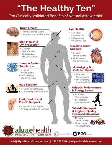 Astaxanthin Clinical Research - 10 Health Benefits