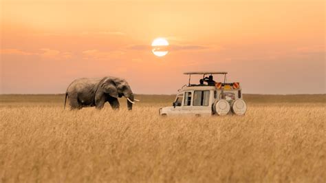 The Best Time to Go on Safari in Kenya | Backpacker Boy