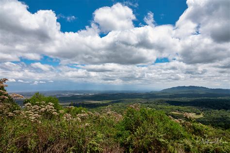 Nature by Nat Photography - Arusha National Park