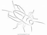 Cricket Ground Coloring Page For Kids  Free Crickets Printable sketch template