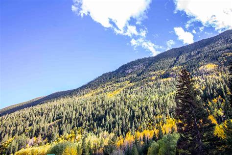 The Best Places to See Fall Foliage in Colorado