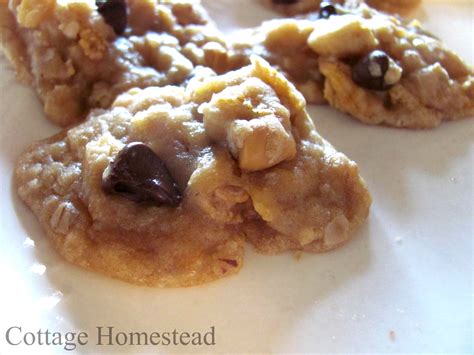 Cottage Homestead: Dishpan Cookies