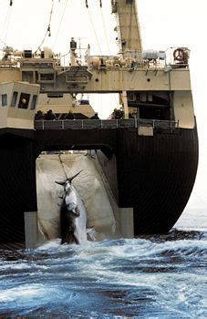 whaling | Definition, History, & Facts | Britannica.com