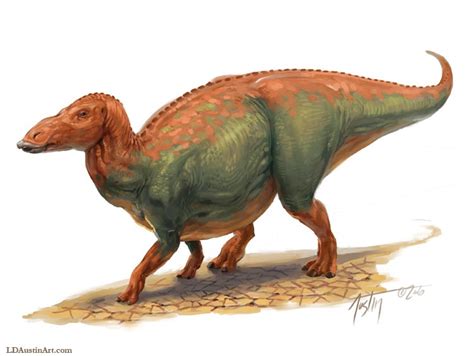 Anatotitan Pictures & Facts - The Dinosaur Database