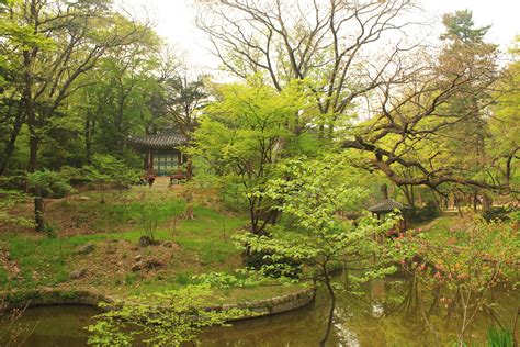 The Secret Garden At Changdeokgung Palace, Seoul