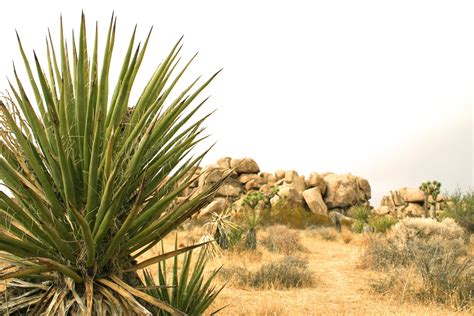 Free Desert landscape Stock Photo - FreeImages.com