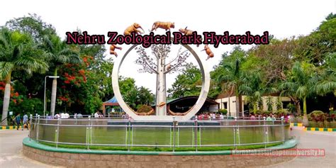 Nehru Zoological Park Hyderabad, Timings, Entry Ticket Cost, Price, Fee ...