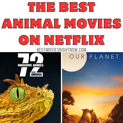 The Best Animal Movies on Netflix - Best Movies Right Now