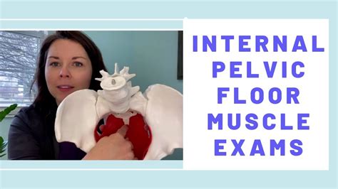 What to Expect During the Internal Pelvic Floor Exam in Pelvic Physical Therapy - YouTube