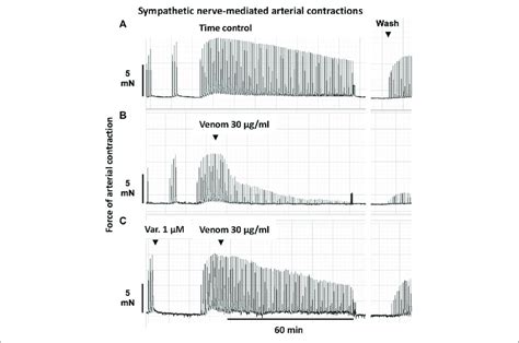 | Representative computer traces of the sympatholytic effects of... | Download Scientific Diagram