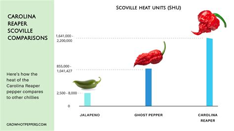 Carolina Reaper: Scoville, Where To Buy & Grow Guide