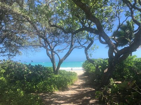 Kailua Beach Park - 2020 Qué saber antes de ir - Lo más comentado por la gente - Tripadvisor