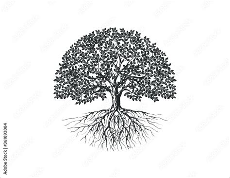 Tree and roots vector silhouette in circle shape Stock Vector | Adobe Stock