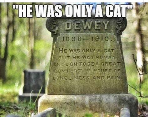 Headstone with cat quote | Cat quotes, Kittens funny, Cats