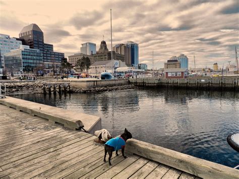 Halifax waterfront. Halifax Waterfront, Nova Scotia, Places Ive Been, New York Skyline, Towns ...