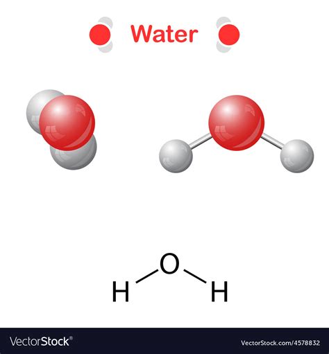 Diagram Of Water Molecule