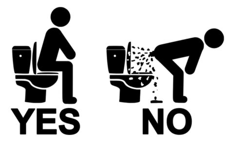 Bathroom YES NO Toilet Decal JDM Funny Decal for Toilet, Tank, Windows, Outdoors | eBay