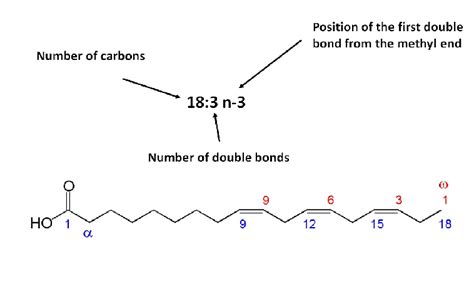 Nomenclature Of Fatty Acid