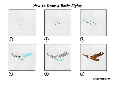 How To Draw A Eagle Step By Step Easy