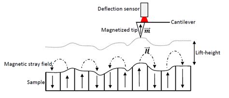 1: Schematic principles of magnetic force microscopy | Download Scientific Diagram