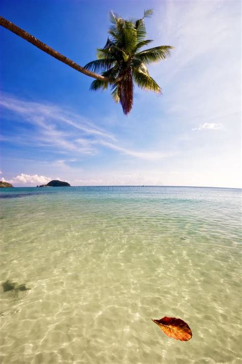 Beach of Ko Chang stock photo. Image of swiming, chang - 564754