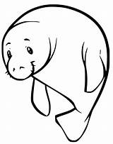 Simple Manatee Coloring Page  Free Printable Pages For Kids sketch template