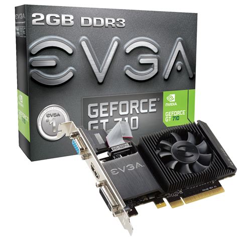 EVGA Announces its GeForce GT 710 Lineup | TechPowerUp