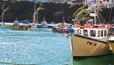 Newquay Harbour - Things to Do