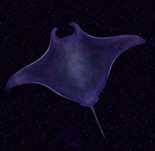 Space Manta Ray | Tasty Planet Wiki | Fandom