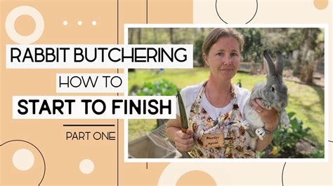 Butchering Meat Rabbits For Beginners pt.1 - YouTube