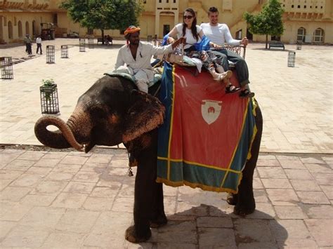 Delhi Magic: The controversial elephant ride at Amer Fort, Jaipur