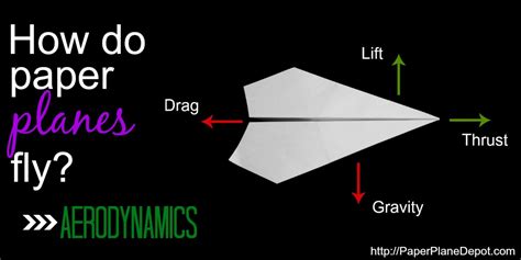 TIPS - PAPER PLANE DEPOT