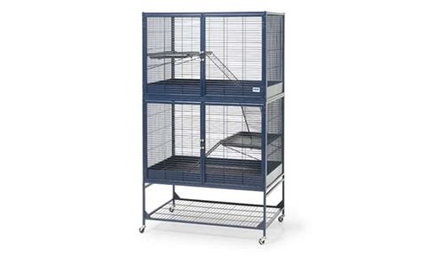 Best Rat Cages That Meet Ethical Cage Size Requirements