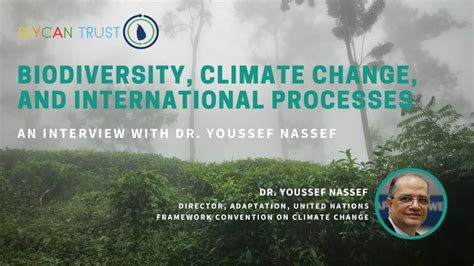 Biodiversity, Climate Change, and International Processes - Knowledge Hub