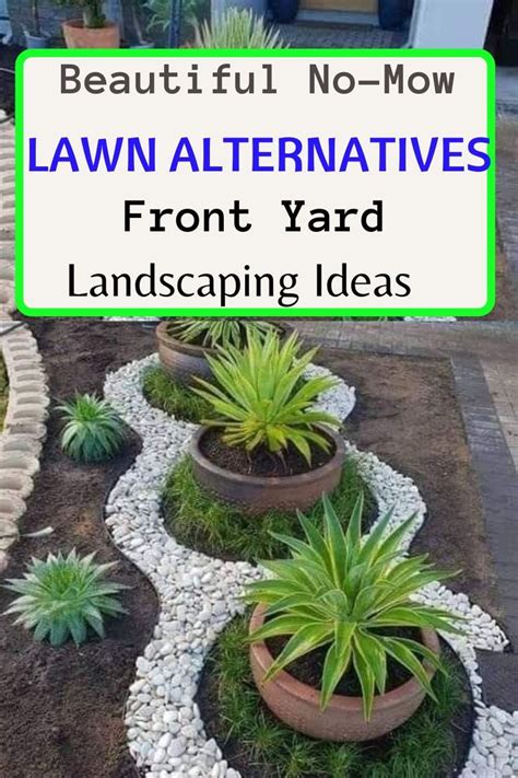 lawn alternatives Drought Tolerant Landscape Front Yard, Front Lawn ...