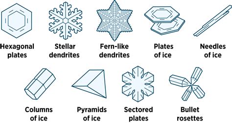 Shawn Vestal: The miracle and wonderment of the ice crystal | The ...