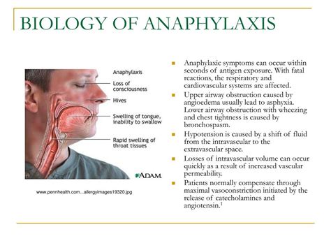 PPT - THE BIOLOGY OF ANAPHYLAXIS PowerPoint Presentation, free download - ID:224376