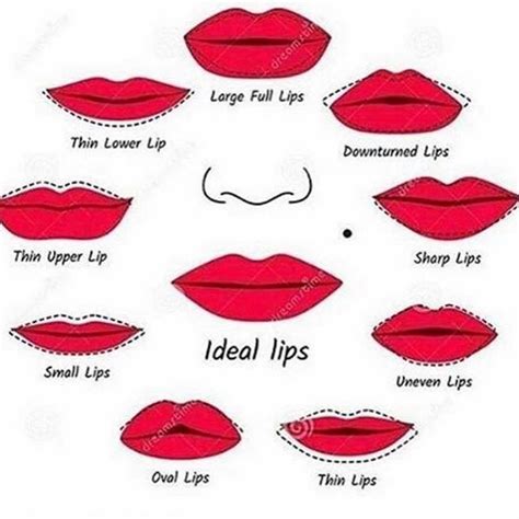 Comment your ideal lip shape 👄 | Lip shapes, Makeup tips lips ...