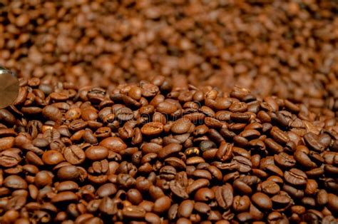 Roasted Coffee Beans Background Stock Photo - Image of falling, caffeine: 125252388