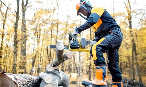 Safety Tips for Working in the Logging Industry