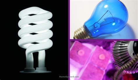 What Are Full Spectrum Light Bulbs?