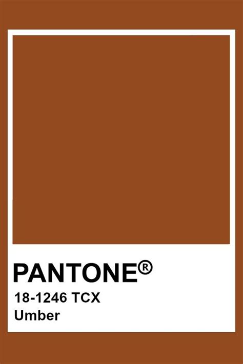 Pantone Umber | Pantone, Brown pantone, Pantone swatches